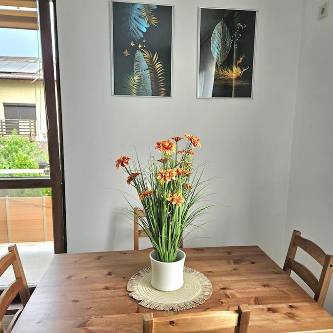 Cozy Sorada 2 Apartment Bragadiru Extérieur photo
