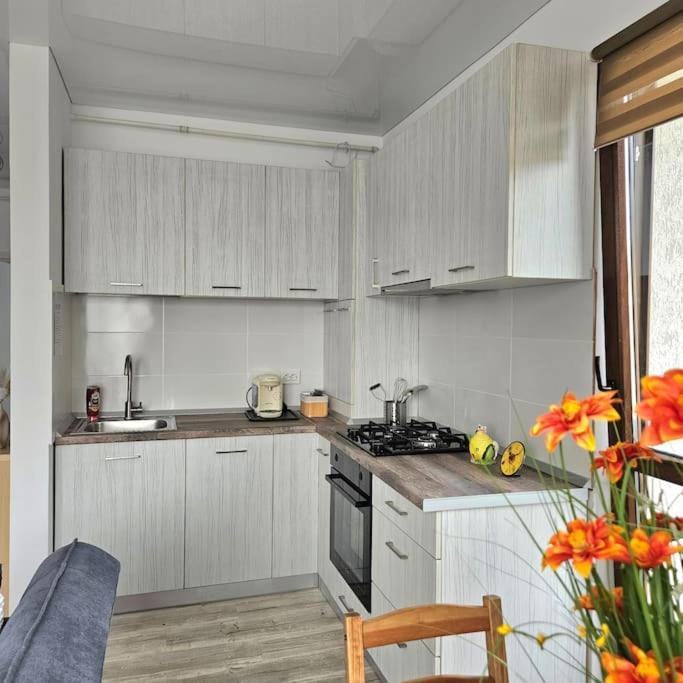 Cozy Sorada 2 Apartment Bragadiru Extérieur photo